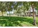 Community playground with green grass, mature trees, and a covered picnic area at 14239 W Port Royale Ln, Surprise, AZ 85379
