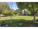 Lush green backyard featuring mature trees and grass bordered by a block wall for privacy at 16322 E Fairview St, Gilbert, AZ 85295