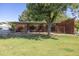 Spacious grassy backyard with established trees and an open horse paddock or pen area at 16322 E Fairview St, Gilbert, AZ 85295
