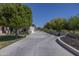 Long, paved driveway with mature landscaping, leading to a beautiful home with a welcoming exterior at 16322 E Fairview St, Gilbert, AZ 85295