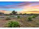 Lush garden area with raised beds and young trees at sunset at 16643 W Quail Run Rd, Surprise, AZ 85378