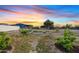 This large backyard features garden beds, desert landscaping, and a home with a covered porch at 16643 W Quail Run Rd, Surprise, AZ 85378