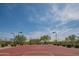 Community outdoor basketball court with desert landscaping at 1904 N Steele --, Mesa, AZ 85207