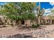 Charming single story home with desert landscaping and a large Saguaro Cactus at 23405 N 84Th St, Scottsdale, AZ 85255