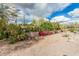 Charming front yard showcasing native desert flora and gravel groundcover at 23405 N 84Th St, Scottsdale, AZ 85255