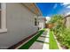 Manicured backyard walkway with artificial turf and stepping stones, lined with lush plants at 3749 E Sagebrush St, Gilbert, AZ 85296