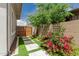 Landscaped backyard path featuring vibrant bougainvillea and artificial turf, creating a serene outdoor space at 3749 E Sagebrush St, Gilbert, AZ 85296