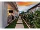 A charming backyard path lined with lush greenery and leading to outdoor living spaces, perfect for relaxing evenings at 3749 E Sagebrush St, Gilbert, AZ 85296