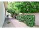 Spacious backyard featuring a brick pathway, mature trees, and a privacy fence at 4313 N 161St Ave, Goodyear, AZ 85395