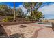 Landscaped backyard featuring a stone fire pit and sparkling blue pool, complemented by mature trees and plantings at 4445 E Coconino St, Phoenix, AZ 85044