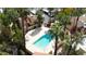 Aerial shot of a sparkling community pool with lounge chairs and tropical landscaping at 6540 N 7Th Ave # 46, Phoenix, AZ 85013