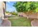 Serene backyard featuring a lush green lawn, mature trees, and a sparkling swimming pool at 735 W Ivanhoe St, Gilbert, AZ 85233