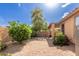 Private backyard features desert landscaping, mature trees, and a cozy covered patio, creating a serene outdoor oasis at 749 E Desert Moon Trl, San Tan Valley, AZ 85143