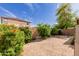 Low maintenance backyard featuring desert landscaping with mature trees and privacy fence at 749 E Desert Moon Trl, San Tan Valley, AZ 85143