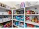 Organized pantry features shelves stocked with various food items and storage containers at 8341 W Palo Verde Ave, Peoria, AZ 85345