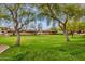 Green open space, with mature shade trees, at the Coyote Landing Condominiums at 10136 E Southern Ave # 1074, Mesa, AZ 85209