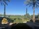 Scenic views of the golf course, framed by mature palm trees, plants, and lush landscaping at 156 E Leverenz Ave, Queen Creek, AZ 85140