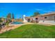 Private backyard features a sparkling pool, lush lawn, and patio area for entertaining at 1643 W Harmont Dr, Phoenix, AZ 85021