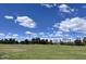 Expansive park with mature trees set against a vibrant blue sky creates serene environment at 1643 W Harmont Dr, Phoenix, AZ 85021