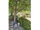 Mature front yard landscaping with small fountain, mature tree, and solar lights at 17985 W Jojoba Rd, Goodyear, AZ 85338