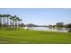 Beautiful lake view with palm trees and meticulously landscaped green lawn area at 17985 W Jojoba Rd, Goodyear, AZ 85338