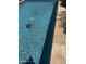 Sparkling blue pool with a turtle swimming inside, inviting cool retreat on a hot day at 17985 W Jojoba Rd, Goodyear, AZ 85338