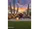 Expansive front yard with mature Saguaro cactus, desert landscaping, and vibrant sunset views at 22036 N 44Th Pl, Phoenix, AZ 85050