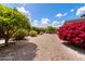 Beautiful landscaped backyard with beautiful trees, green shrubbery, and lush pink bougainvillea at 2736 Leisure World --, Mesa, AZ 85206