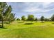 A serene green space with lush grass and mature trees provides a peaceful retreat at 3023 E Arabian Dr, Gilbert, AZ 85296
