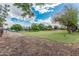 Expansive green backyard with mature trees and grass area with clear skies overhead at 370 E Redfield Rd, Chandler, AZ 85225