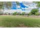 Expansive green backyard with mature trees and grass with a view of the home at 370 E Redfield Rd, Chandler, AZ 85225