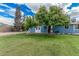Lush backyard with green grass and fruit-bearing trees, adjacent to the blue home at 370 E Redfield Rd, Chandler, AZ 85225