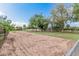 Large fenced backyard with mature trees and potential for landscaping at 370 E Redfield Rd, Chandler, AZ 85225