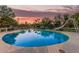 Backyard pool featuring slide, lush landscaping, and a tranquil, shaded atmosphere at 370 E Redfield Rd, Chandler, AZ 85225