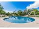 Backyard pool featuring diving board and slide, surrounded by lush greenery at 370 E Redfield Rd, Chandler, AZ 85225
