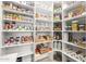 Spacious pantry with ample storage, including multiple shelves and baskets for organized food storage at 447 W Judd Rd, San Tan Valley, AZ 85143