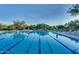 Beautiful community pool with clear blue water, lounge chairs and desert landscape at 6936 E Whispering Mesquite Trl, Scottsdale, AZ 85266