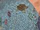 A sparkling pool with whimsical underwater turtle and fish mosaic tile art provides an eye-catching custom finish at 10846 E Quartet Ave, Mesa, AZ 85212