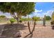 Beautiful backyard oasis with lush landscaping, a serene waterfront view, and mature trees at 1806 N 108Th Ave, Avondale, AZ 85392