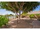 Beautifully landscaped backyard with mature tree, lush plants, and scenic water view, creating a serene oasis at 1806 N 108Th Ave, Avondale, AZ 85392