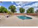 Gorgeous kidney-shaped pool surrounded by a large patio and desert landscape at 18601 N 16Th Pl, Phoenix, AZ 85024