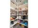 Walk-in pantry featuring an abundance of shelving and ample storage space for kitchen essentials at 24127 N 166Th Ct, Surprise, AZ 85387