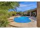 Sparkling swimming pool with stone patio, lush desert landscaping and convenient access steps at 26521 N 114Th Pl, Scottsdale, AZ 85255