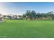 Lush, well-maintained green space with mature trees providing shade and a serene atmosphere at 27315 N 83Rd Dr, Peoria, AZ 85383
