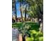Beautifully landscaped front yard with lush green grass and mature trees at 3022 N 32Nd St # 40, Phoenix, AZ 85018