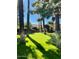 Well-maintained front yard featuring vibrant green grass and mature shade trees at 3022 N 32Nd St # 40, Phoenix, AZ 85018