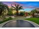 Backyard oasis featuring a trampoline, mature palm trees, artificial turf, and decorative landscaping at 4055 N Recker Rd # 82, Mesa, AZ 85215
