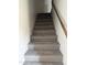 Carpeted stairway with a wooden handrail at 4219 N 69Th N Ln # 1319, Phoenix, AZ 85033