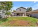 Expansive backyard with lush grass, barbecue area, covered patio, and shade tree at 4559 E Sierrita Rd, San Tan Valley, AZ 85143