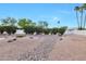 Lush backyard featuring desert landscaping with gravel and mature trees providing ample privacy at 5564 N 77Th Pl, Scottsdale, AZ 85250